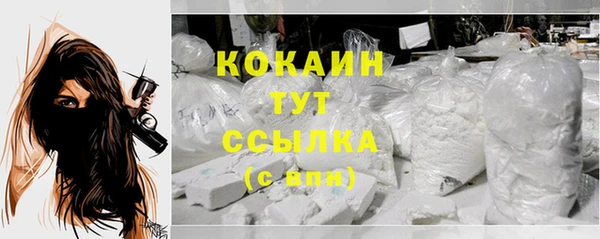 дживик Абаза